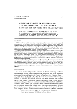 cellular uptake of soluble and aggregated