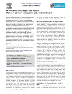 Microtubule catastrophe and rescue