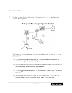 The diagram below shows a partial model of photosystems II and I in
