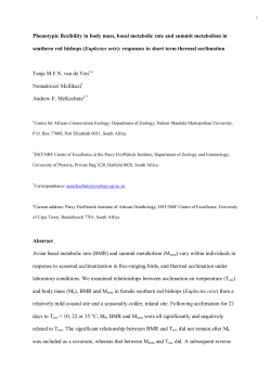 Phenotypic flexibility in body mass, basal metabolic rate and summit