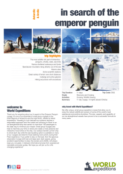 in search of the emperor penguin