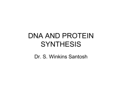 dna and protein synthesis
