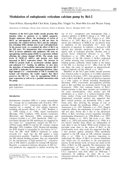 Modulation of endoplasmic reticulum calcium pump by Bcl-2