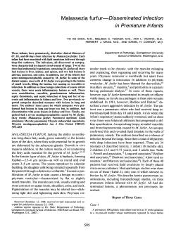 Malassezia furfur&mdash;Disseminated Infection in Premature Infants