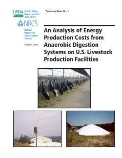 An Analysis of Energy Production Costs from Anaerobic