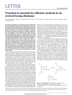 Precision is essential for efficient catalysis in an evolved Kemp