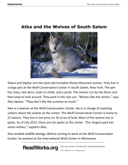 Atka and the Wolves of South Salem