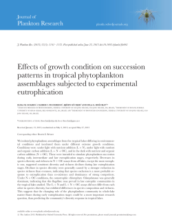Effects of growth condition on succession