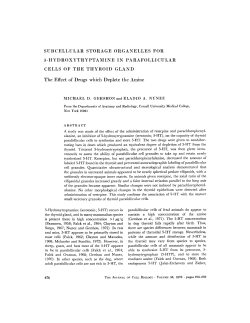 SUBCELLULAR STORAGE ORGANELLES FOR 5
