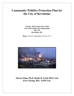 2006 Community Wildfire Protection Plan