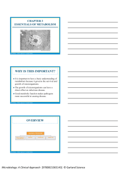 chapter 3 essentials of metabolism