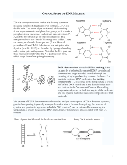 1 DNA is a unique molecule in that it is the only common molecule