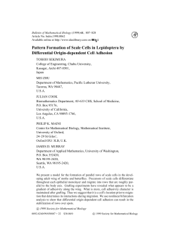 Pattern Formation of Scale Cells in Lepidoptera by Differential Origin