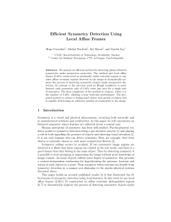 Efficient Symmetry Detection Using Local Affine Frames
