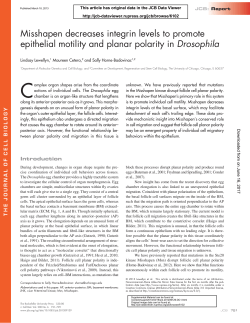 Misshapen decreases integrin levels to promote epithelial motility