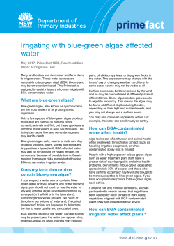 Irrigating with blue-green algae affected water