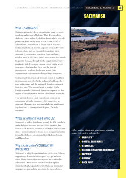saltmarsh - Durham Biodiversity Partnership