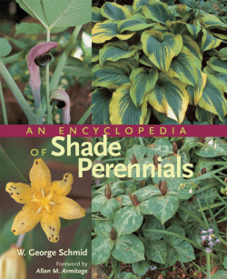 An Encyclopedia of Shade Perennials