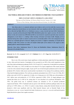 Bacterial Diseases in Rice and their Eco-Friendly