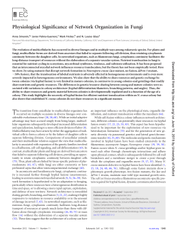 Physiological Significance of Network Organization in Fungi