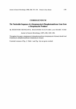 CORRIGENDUM The Nucleotide Sequence of a