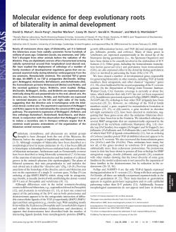 pdf - The Dunn Lab