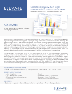 assessment - Elevate Limited