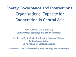 Energy Governance and International Organizations: Capacity for