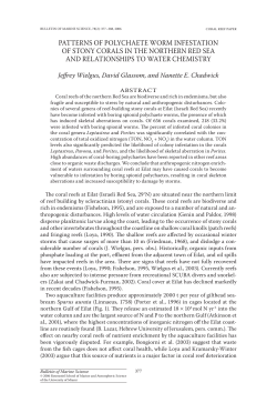 PATTERNS OF POLyChAETE wORM
