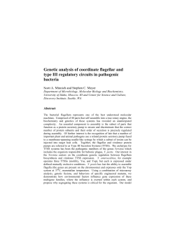 Genetic analysis of coordinate flagellar and type