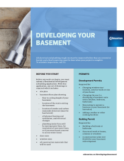 Developing Your basement Guide