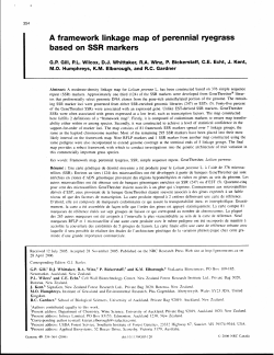 A framework linkage map of perennial ryegrass based