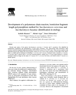 Development of a polymerase chain reaction/restriction fragment
