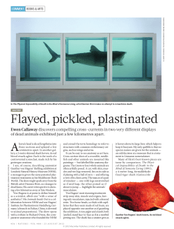 Flayed, pickled, plastinated