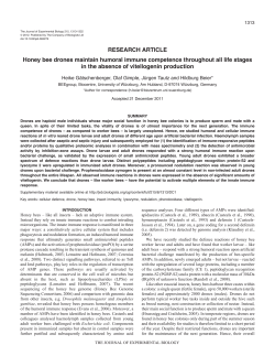 Honey bee drones maintain humoral immune competence