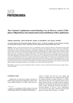 Article