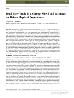 Essay Legal Ivory Trade in a Corrupt World and its Impact on African