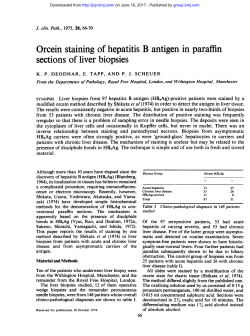 Orcein staining of hepatitis B antigen in paraffin sections of liver