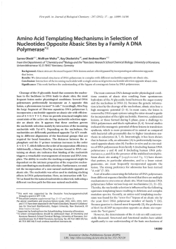 Amino Acid Templating Mechanisms in Selection