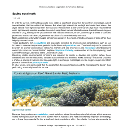 Saving coral reefs - Reflexions