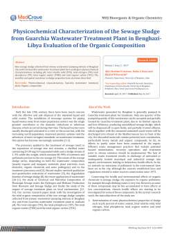 Physicochemical Characterization of the Sewage Sludge from