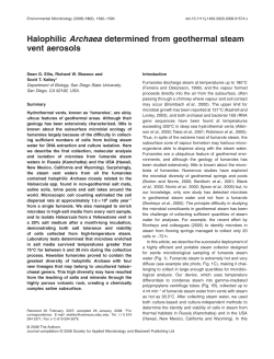 Halophilic Archaea determined from geothermal steam vent aerosols