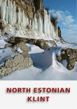 NORTH ESTONIAN KLINT