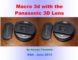 Macro 3d with the Panasonic 3D Lens - 3D-Con