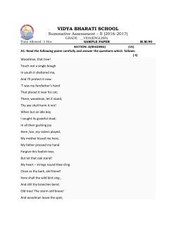 English VII - Vidya Bharati School