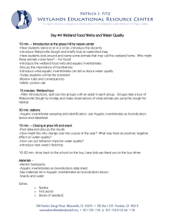 Day #4 Wetland Food Webs and Water Quality