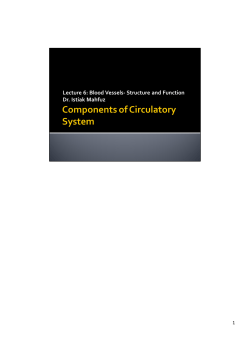 Components of Circulatory System- Blood Vessels by Dr. Istiak Mahfuz