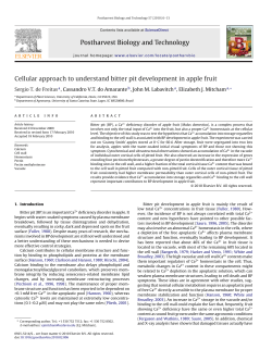 Cellular approach to understand bitter pit development in apple fruit