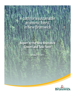 A path for a sustainable economic forest in New Brunswick