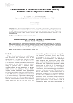 P-Protein Structure in Functional and Non